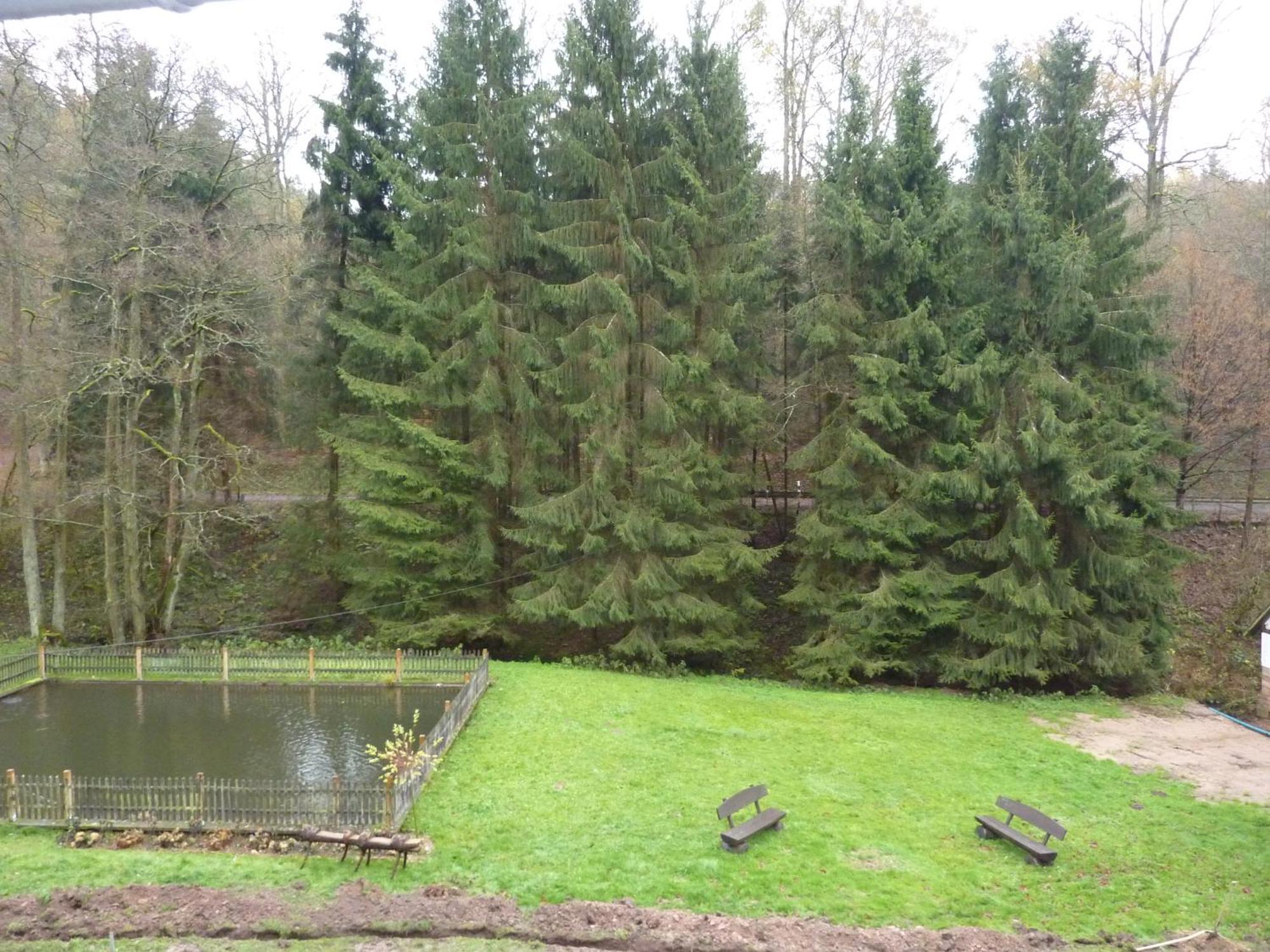 Hof Guttels Waldgasthof Ferienpension Ротенбург ан дер Фулда Стая снимка